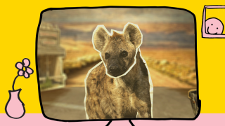What's On TV? Monday 1 June - Sunday 7 June